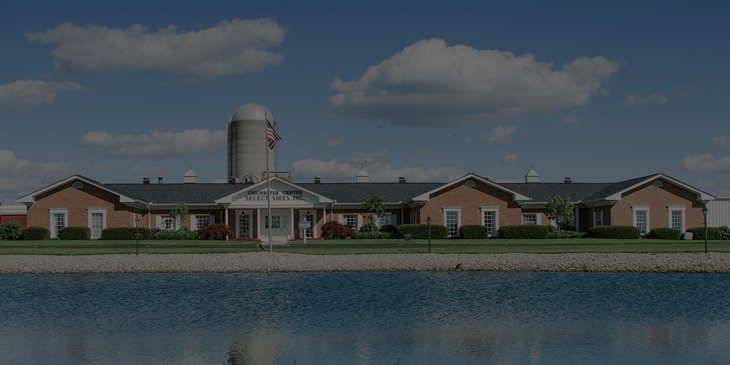 Our Company_1440720 Page Banner Select Sires Inc. building.